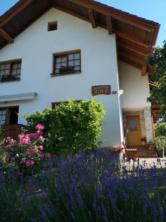 Apartmaji Volf Згорнье-Горье Экстерьер фото
